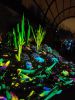 PICTURES/Desert Botanical Garden Electric Desert Exhibit/t_20181210_193601.jpg